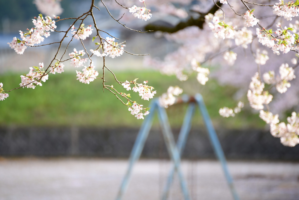 のどかな春