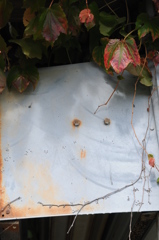 ムーミンだよねぇ