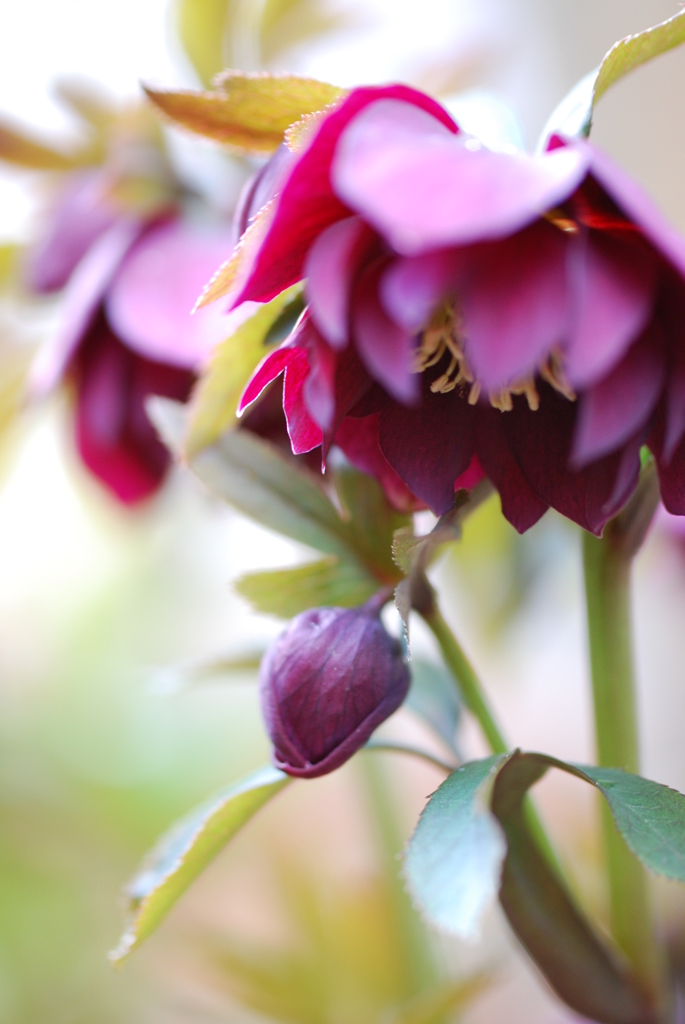 いろっぽくない？