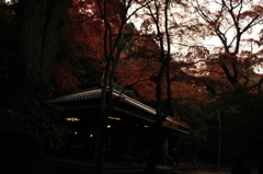 ここちいい～♪