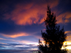 landscape2 [DP2m]