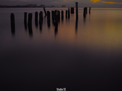 landscape7 [DP2m]