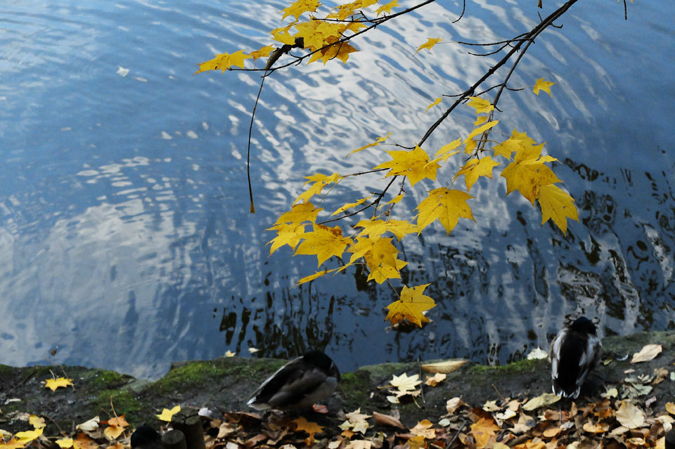 水の上の色