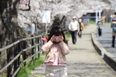 sakura re capsule