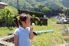 家の前の草むら