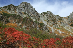 紅葉真っ盛り