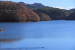 羽鳥湖