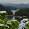 入梅の入り江Ⅱ