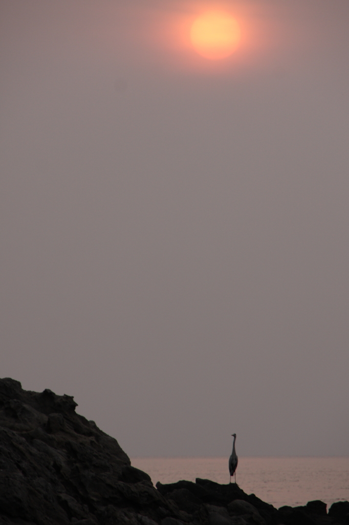 朧な夕陽Ⅲ