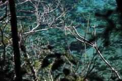 水ぬるむ　ⅲ