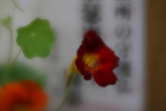 雨降る朝のホームステイ ⅱ 雨降る朝のホームステイ ⅱ