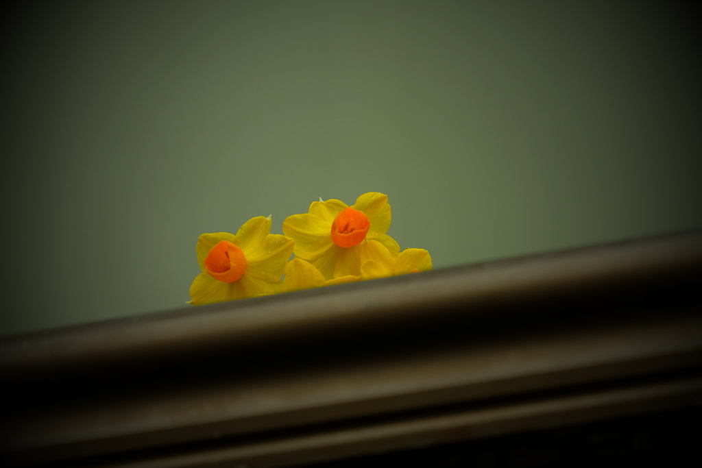 徒然なるままに　五