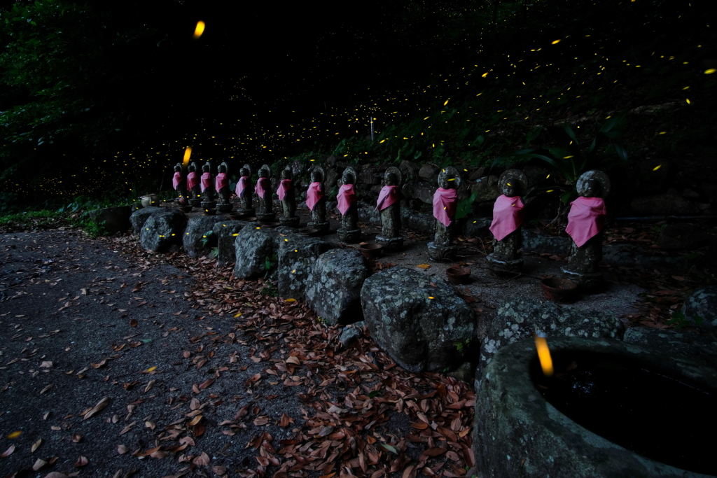 お地蔵さまと舞う蛍