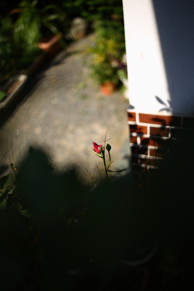 それぞれの描写Ⅲ