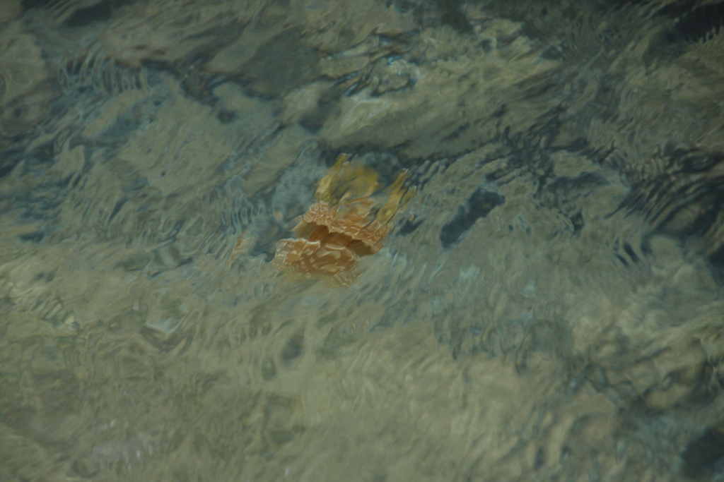 ゆらゆらゆらりⅢ