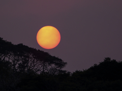 今日の夕陽はでかかったⅣ
