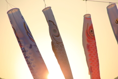 夕焼け空の鯉のぼり　ⅲ