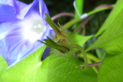 寝坊しちゃった・・・