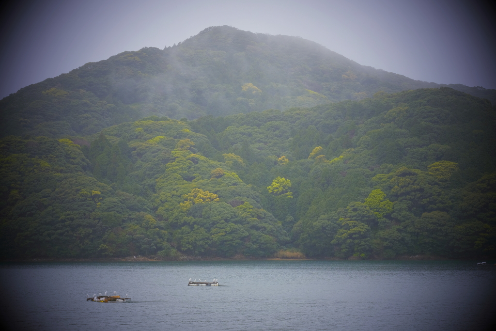 花咲く前に山笑う