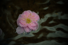 オールドマクロで　ⅲ