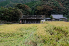 下対馬散策　弐