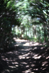 ソフトレンズで