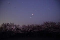 桜の上には土（星）と火（星）が