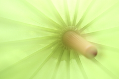 雨上がりのお遊び