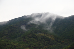 今日も雨・・・