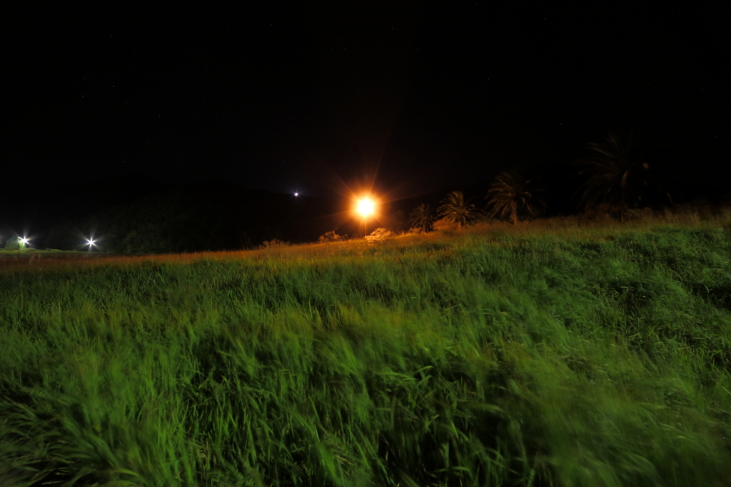 夜の運動公園Ⅴ