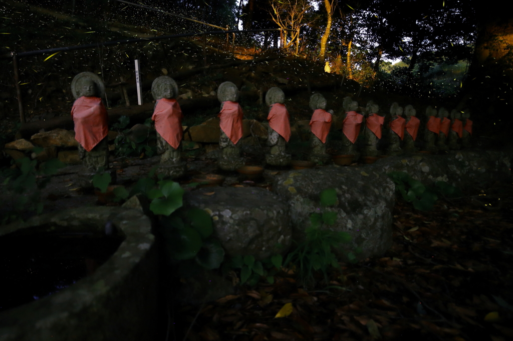 お地蔵様と蛍