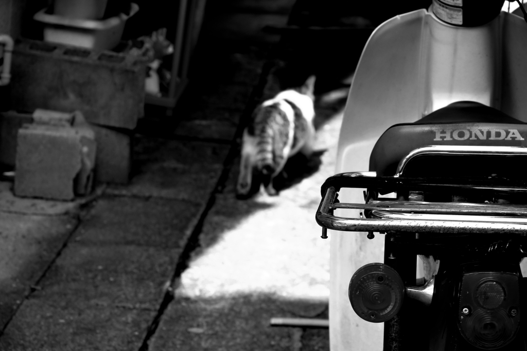 孫の見た町の寸景Ⅳ