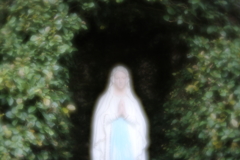 ソフトなレンズでⅤ