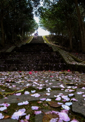 花散る石段Ⅲ