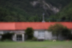 ソフトなレンズで