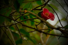 徒然なるままに　参