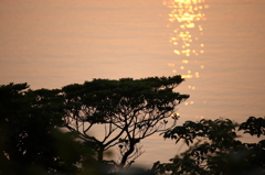 島の夕暮れ