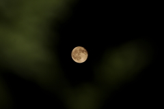 今宵の月も綺麗です