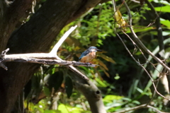 今日も会えた　ⅱ