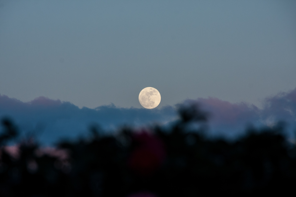 今年最小の・・・Ⅰ