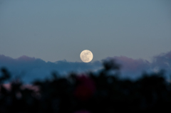 今年最小の・・・Ⅰ