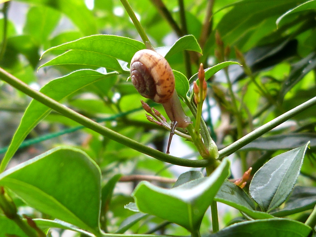 春の陽気に誘われてⅠ