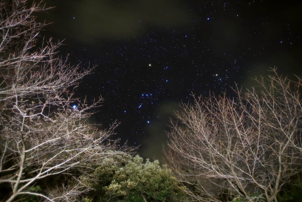 久々の星空ⅱ