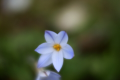 寒は戻れど道端に　壱