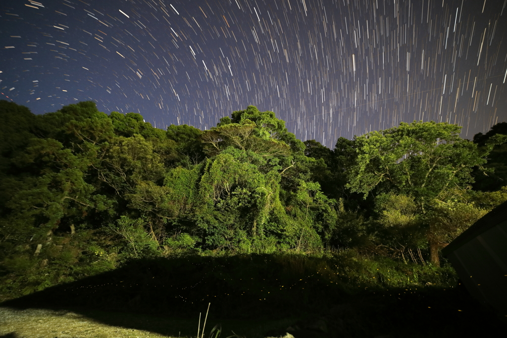 空の星地の蛍