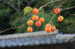 食べるのは誰