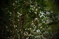 徒然なるままに　壱