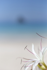 ソフトレンズでⅤ