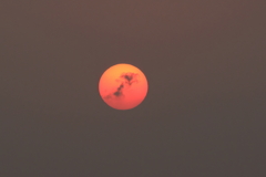 夕陽　ⅲ