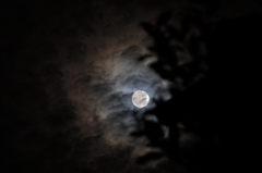 せっかくのスーパームーンが・・・